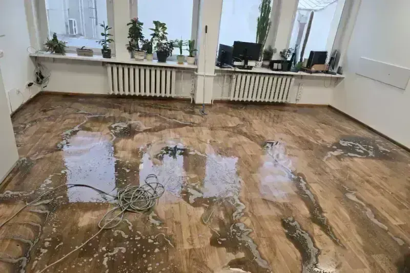 Kiliminės ir PVC dangos valymas — nuotrauka 2