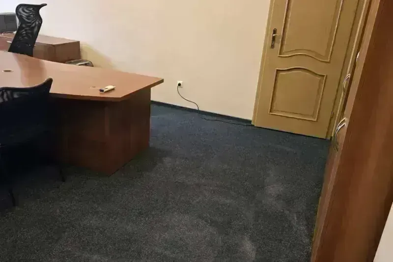 Kiliminės ir PVC dangos valymas — nuotrauka 4