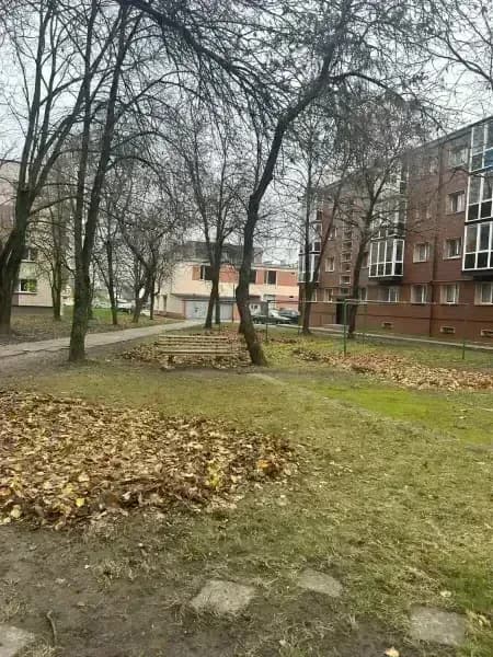 Teritorijos tvarkymas — nuotrauka 4