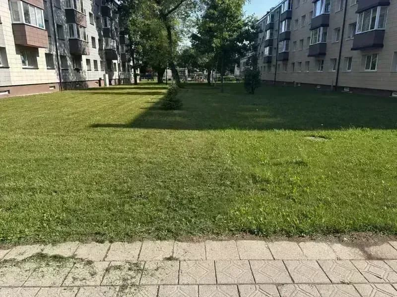 Žolės pjovimas — nuotrauka 2