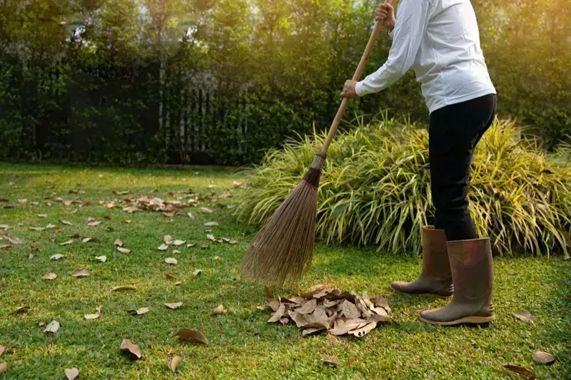 Teritorijos tvarkymas